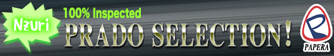 Click and Go Papera Traders' Website Now!!