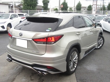 RX300