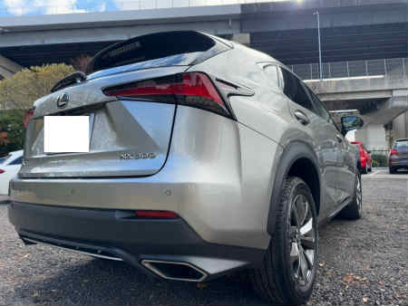 NX300