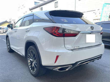 RX300
