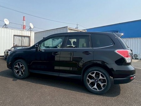 FORESTER
