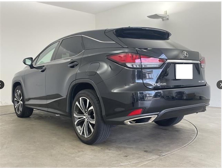 RX300