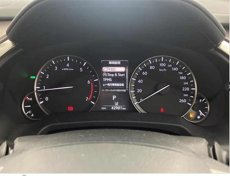 RX300