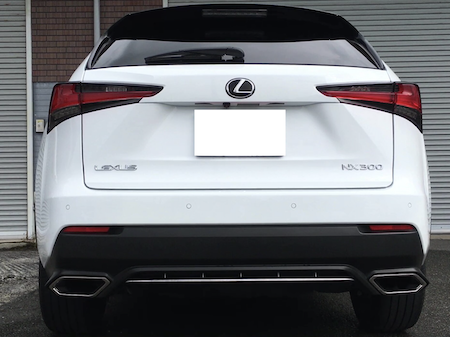 NX300
