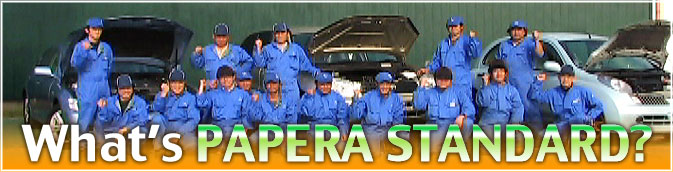 What's PAPERA STANDARD