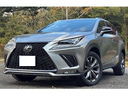 LEXUS / NX300