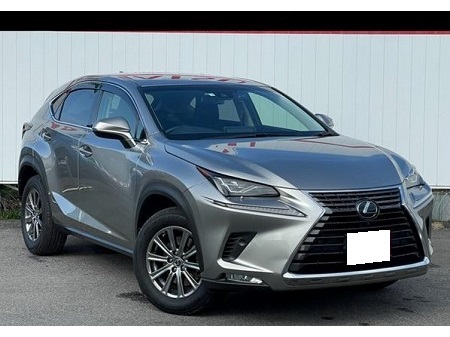 LEXUS / NX300