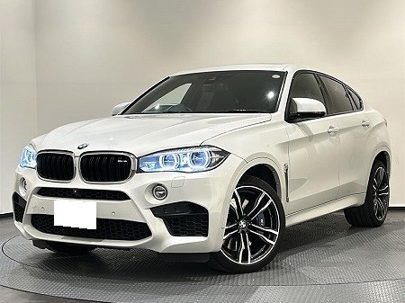BMW / X6 M