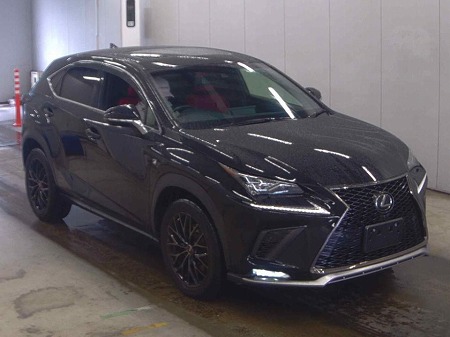 LEXUS / NX300