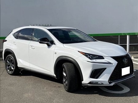 LEXUS / NX300