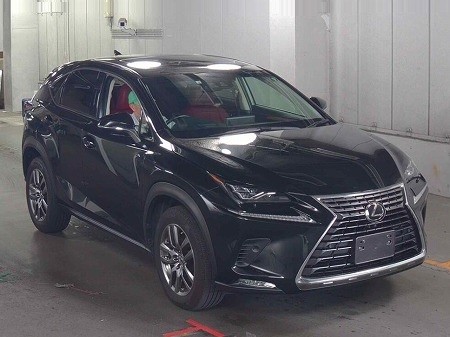 LEXUS / NX300