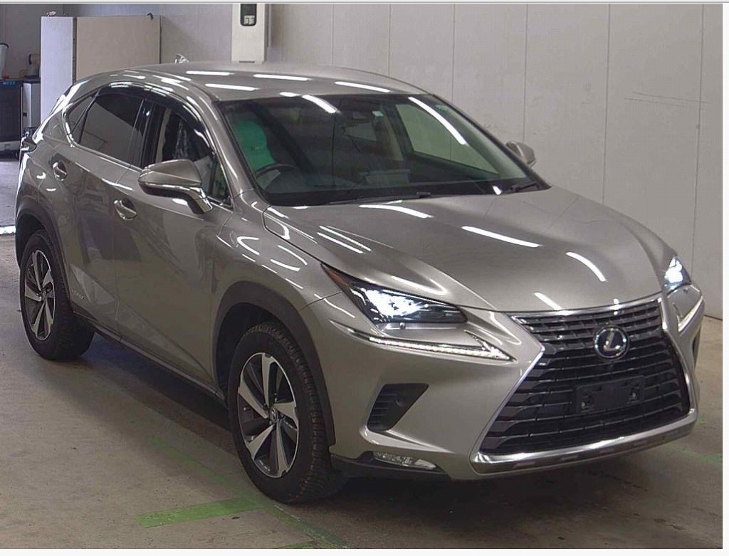 LEXUS / NX300h