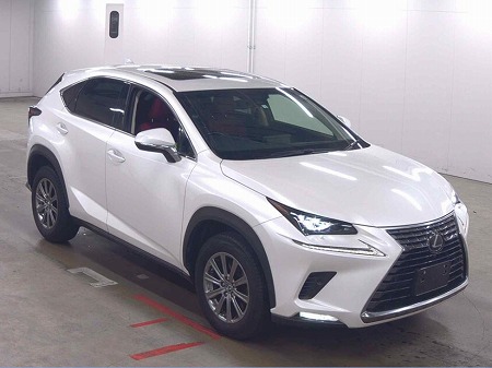 LEXUS / NX300