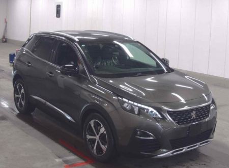 Peugeot  / 3008