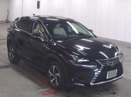 LEXUS / NX300