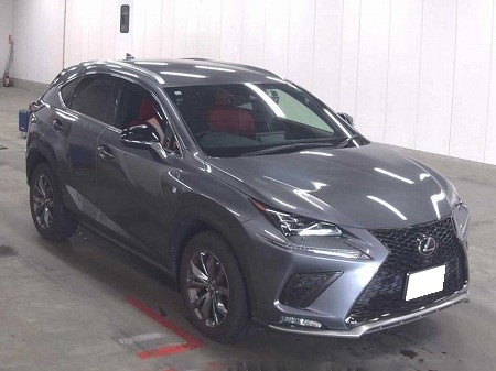 LEXUS / NX300