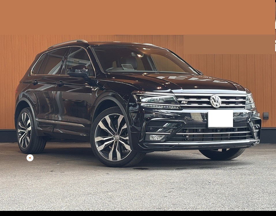 VOLKSWAGEN / TIGUAN