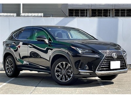 LEXUS / NX300h
