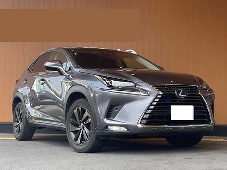 LEXUS / NX300h