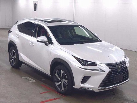 LEXUS / NX300