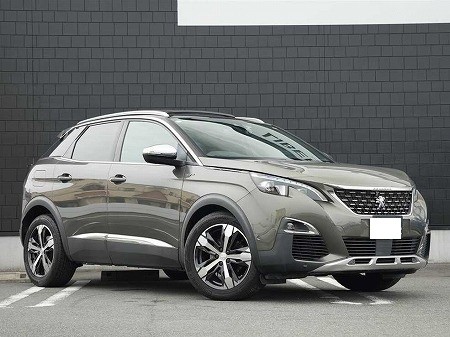 PEUGEOT / 3008