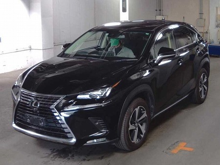 LEXUS / NX300