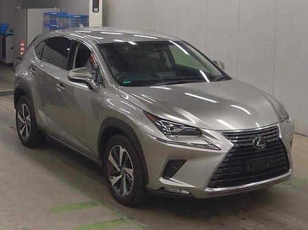 LEXUS / NX300
