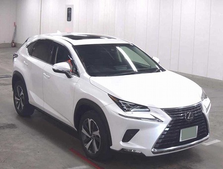 LEXUS / NX300