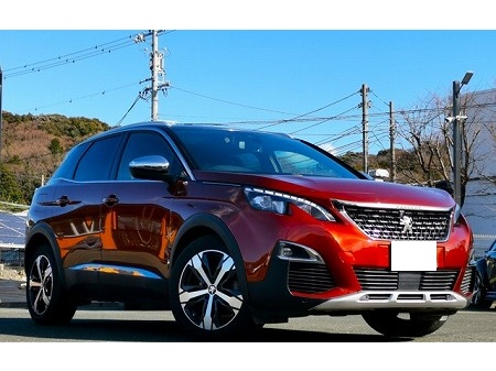 PEUGEOT / 3008