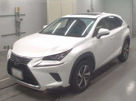 LEXUS / NX300
