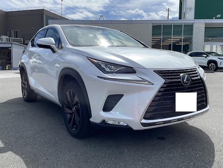 LEXUS / NX300