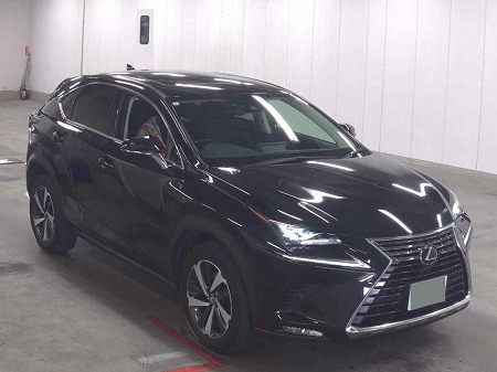 LEXUS / NX300