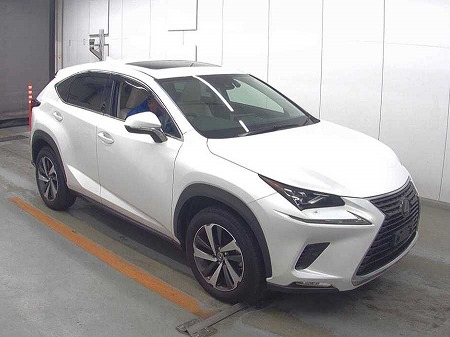 LEXUS / NX300