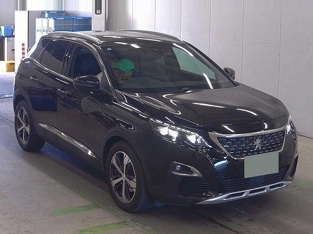 PEUGEOT / 3008