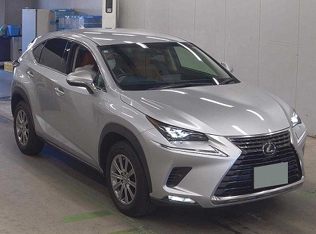 LEXUS / NX300