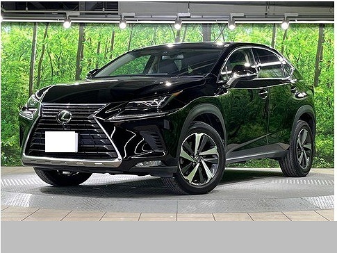 Japanese used car Ref# 1464316 LEXUS / NX300