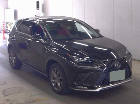 LEXUS / NX300
