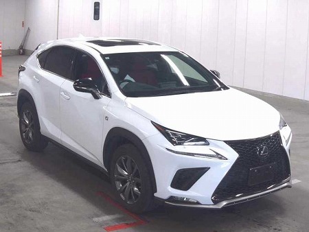 LEXUS / NX300