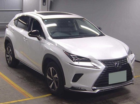 LEXUS / NX300