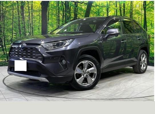 TOYOTA / RAV4 HYBRID 4WD