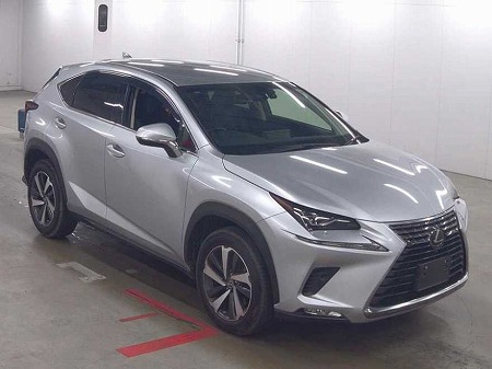 LEXUS / NX300