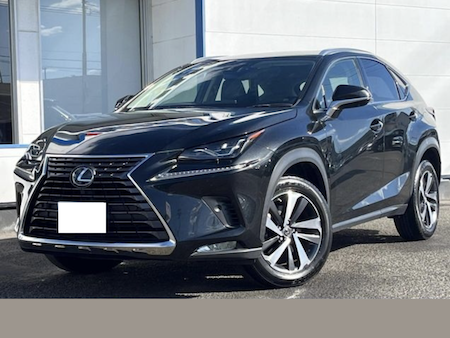 Japanese used car Ref# 1452538 TOYOTA / LEXUS NX300