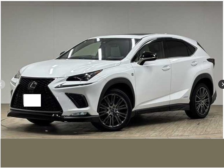 LEXUS / NX300h