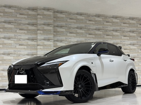 LEXUS / RZ450e