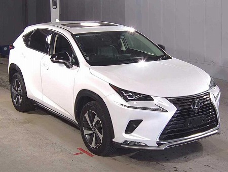 LEXUS / NX300
