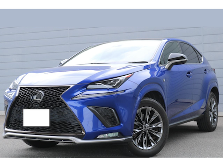 LEXUS / NX300