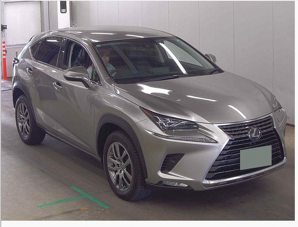 TOYOTA / LEXUS NX300