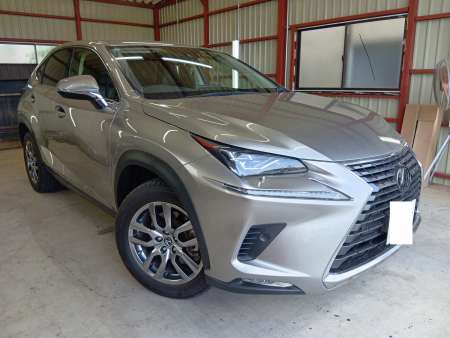 TOYOTA / LEXUS NX300