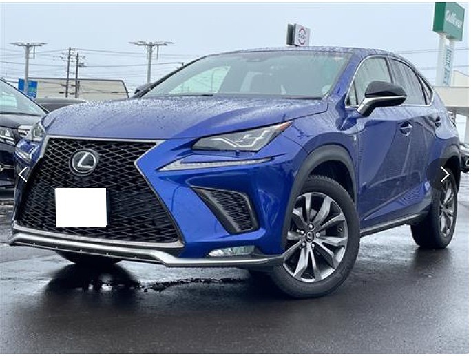 LEXUS / NX300