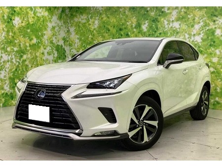LEXUS / NX300